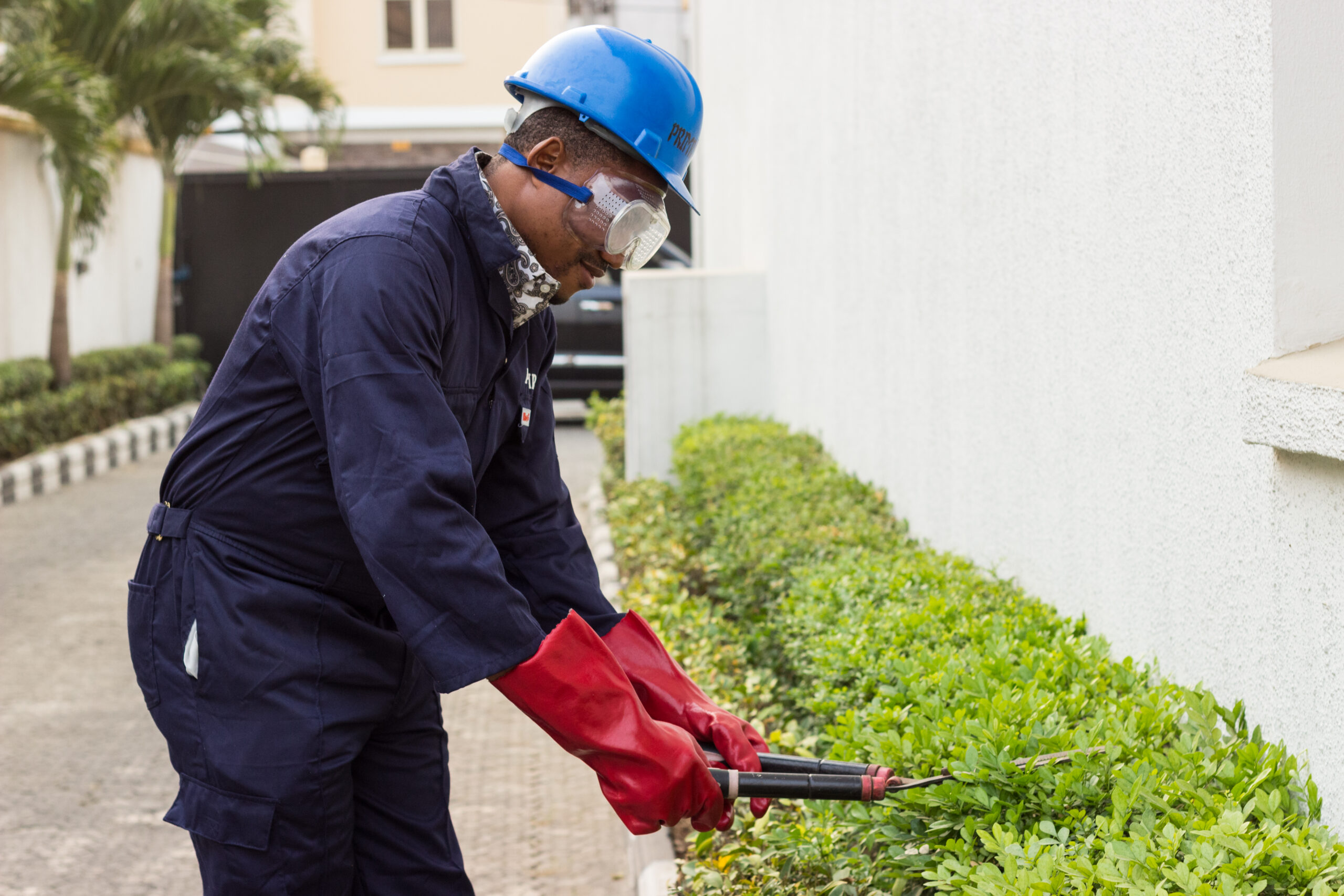Landscaping